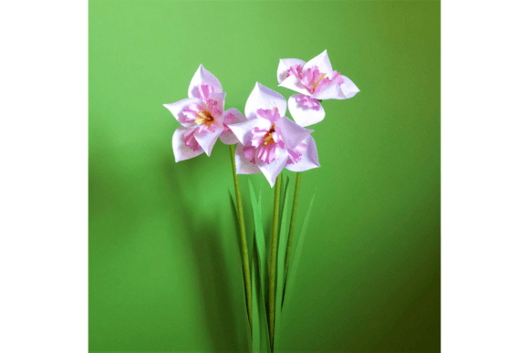 Narcissus Trigometry: 3D SVG Paper Flowers